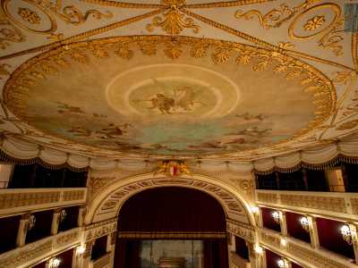 Risalendo ancora verso il soffitto, l�occhio � rapito dal ricco velario bianco a frange e nappe d�oro, decorato con bassorilievi dorati a festoni, nastri, palmette e trionfi musicali